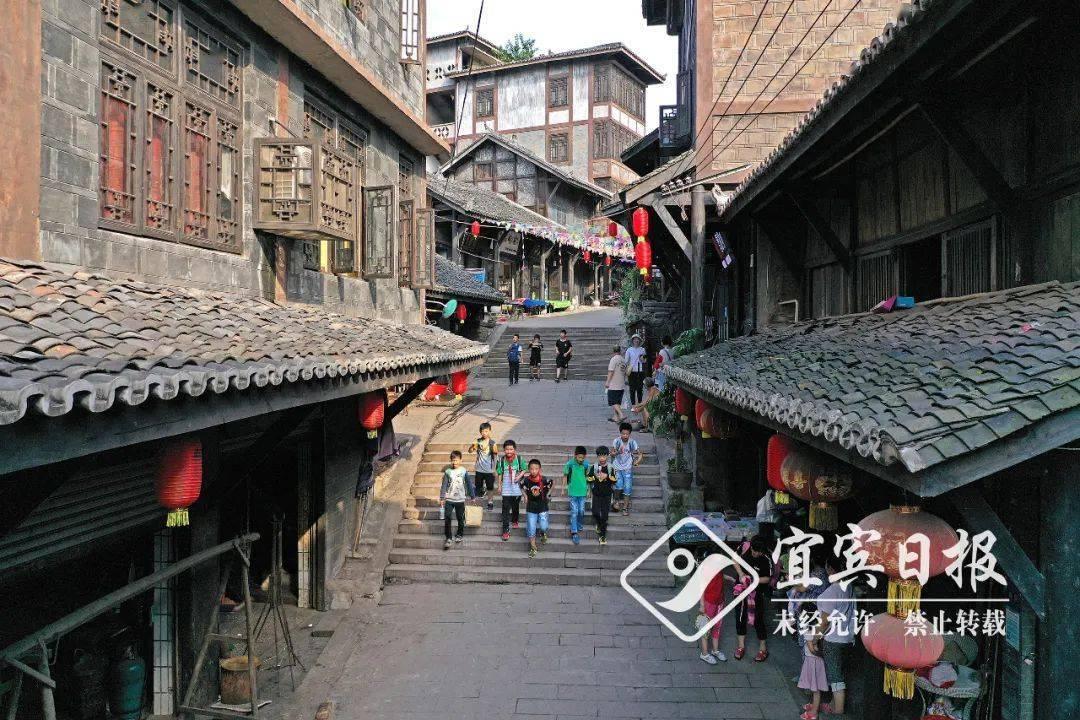 飞天小猪仔